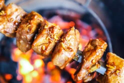 Churrasco Forged Spies V-vorm 50cm -Bialettihand Winkel image 102