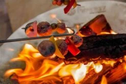 Petromax Campfire Skewer Gebogen (2 Stuks) -Bialettihand Winkel image 485