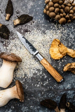 Olive Forged Schilmes 11 Olive Forged Schilmes -Bialettihand Winkel image 50